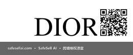 DIOR 风险图片 / evidence image