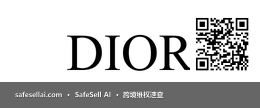 DIOR 风险图片 / evidence image