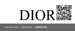 DIOR 风险图片 / evidence image