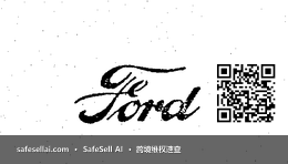 FORD 风险图片 / evidence image