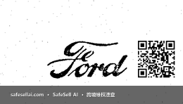 FORD 风险图片 / evidence image