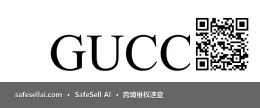 GUCCI 风险图片 / evidence image