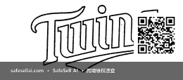 TWINS 风险图片 / evidence image