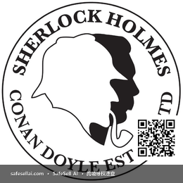 Conan Doyle Estate Limited 风险图片 / evidence image