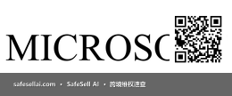 Microsoft Corporation 风险图片 / evidence image
