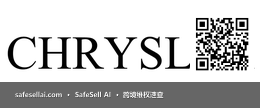CHRYSLER 风险图片 / evidence image