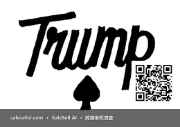 Trump 风险图片 / evidence image
