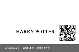 HARRY POTTER 风险图片 / evidence image