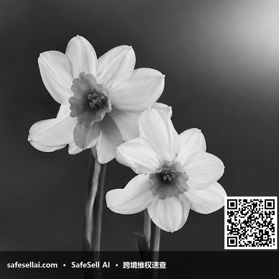 Ariana Grande-Butera 风险图片 / evidence image