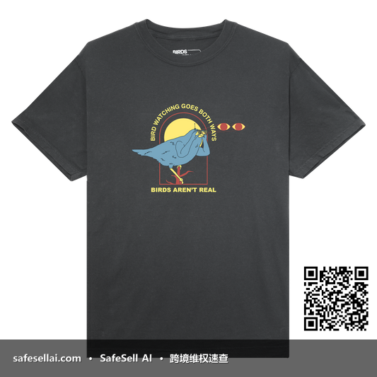 BIRDS AREN’T REAL 风险图片 / evidence image