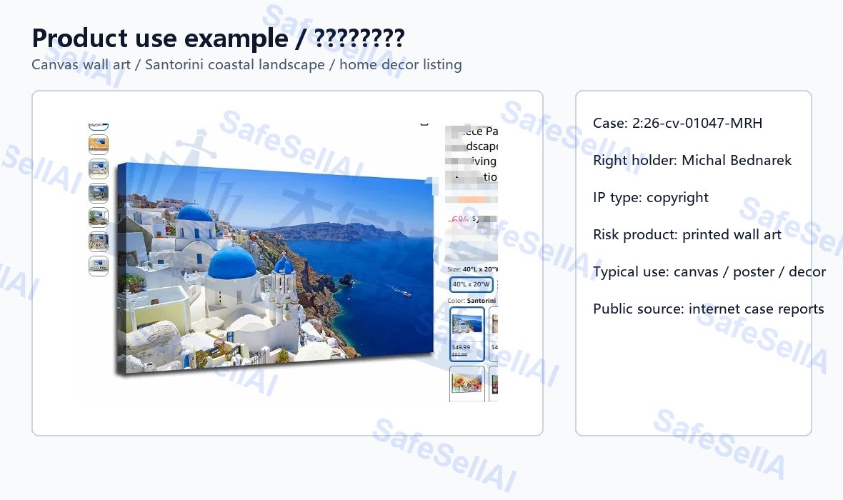 MICHAL BEDNAREK 风险图片 / evidence image