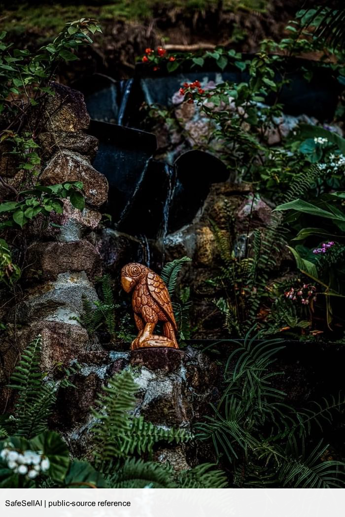 LADERA 风险图片 / evidence image