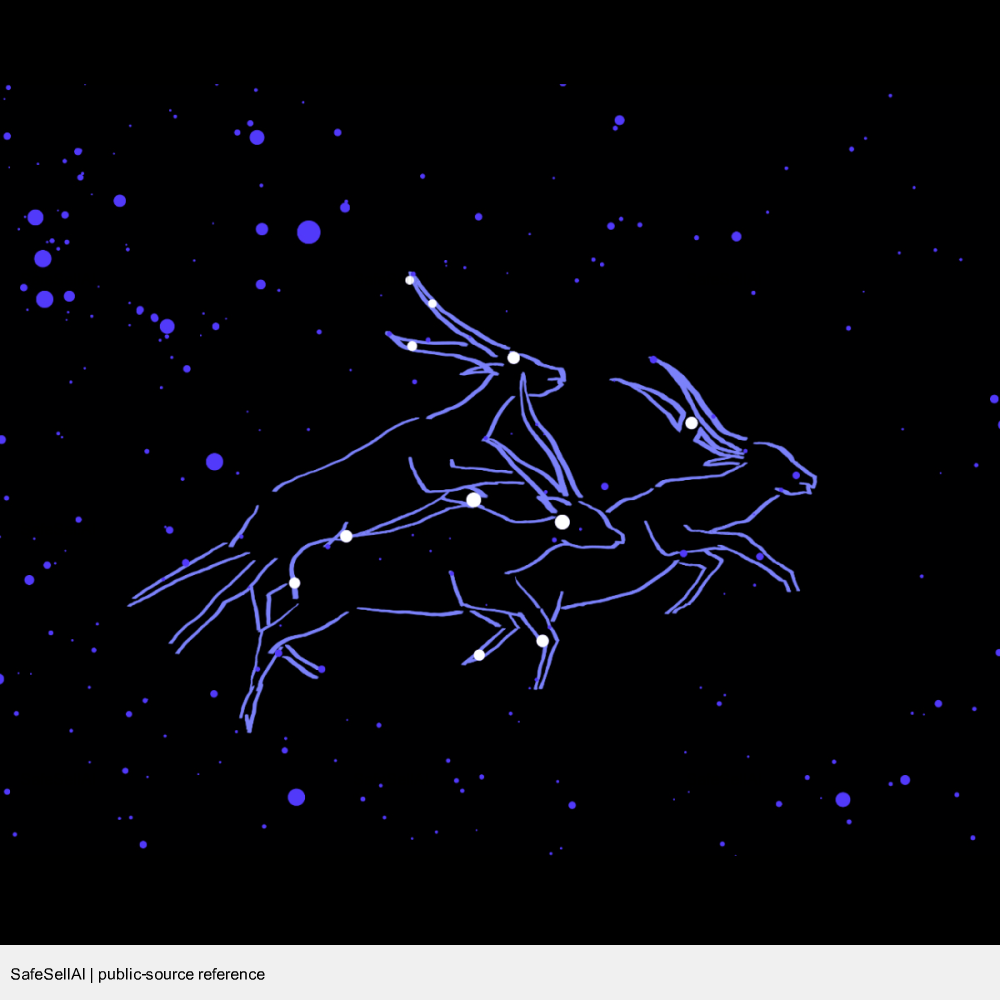 Riesiger Sternenhimmel, Inc. 风险图片 / evidence image