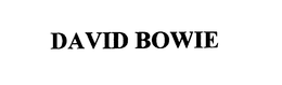 David Bowie 风险图片 / evidence image