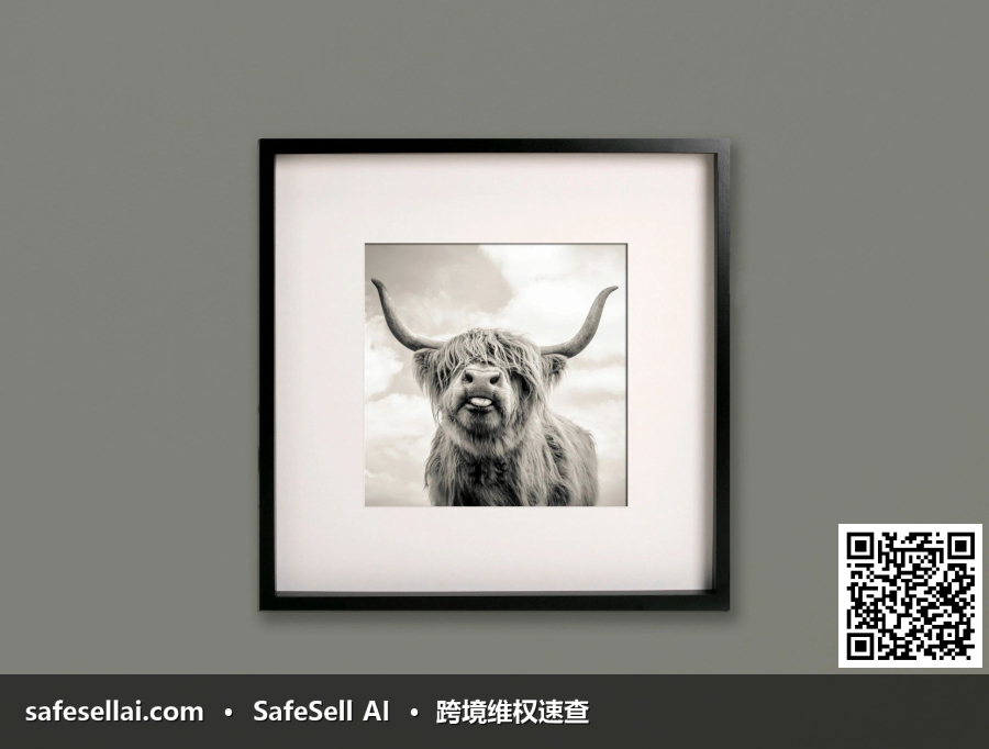 Mark Gemmell 风险图片 / evidence image